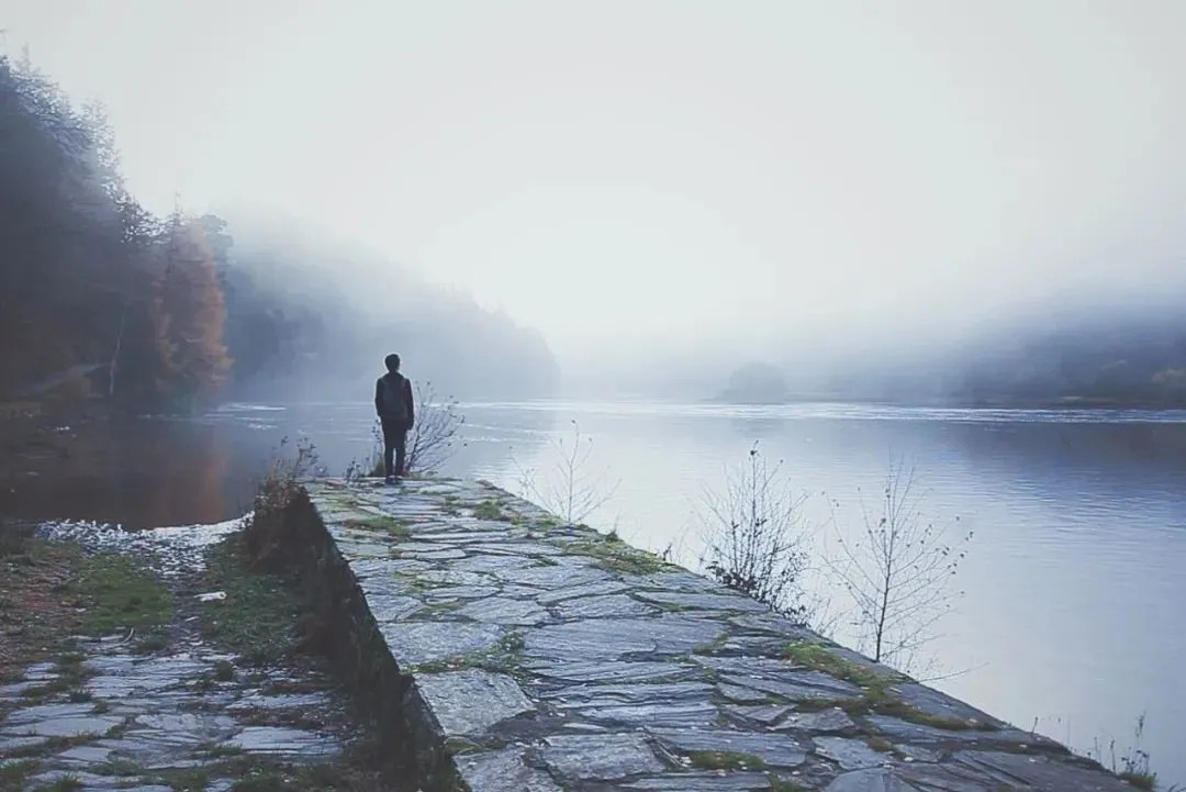 640.webp (7).jpg 640.webp (7).jpg