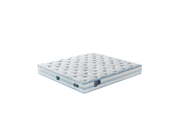 MD38   22cm 云烟 两用型（5099/5199/5999）