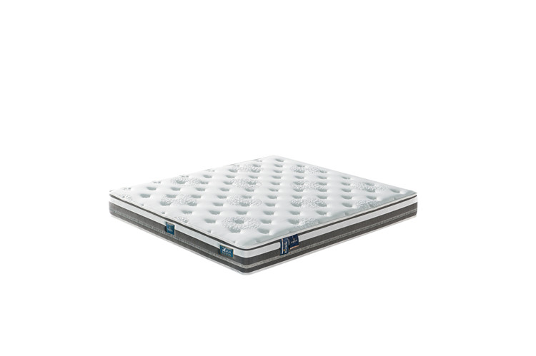 MD39   22cm 云端 两用型（5589/5699/6599）