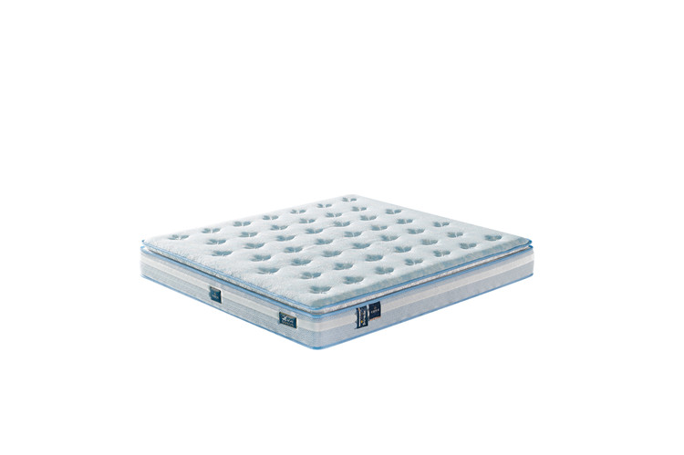 MD26C  26cm 圣罗兰V  指导价：5999.00元